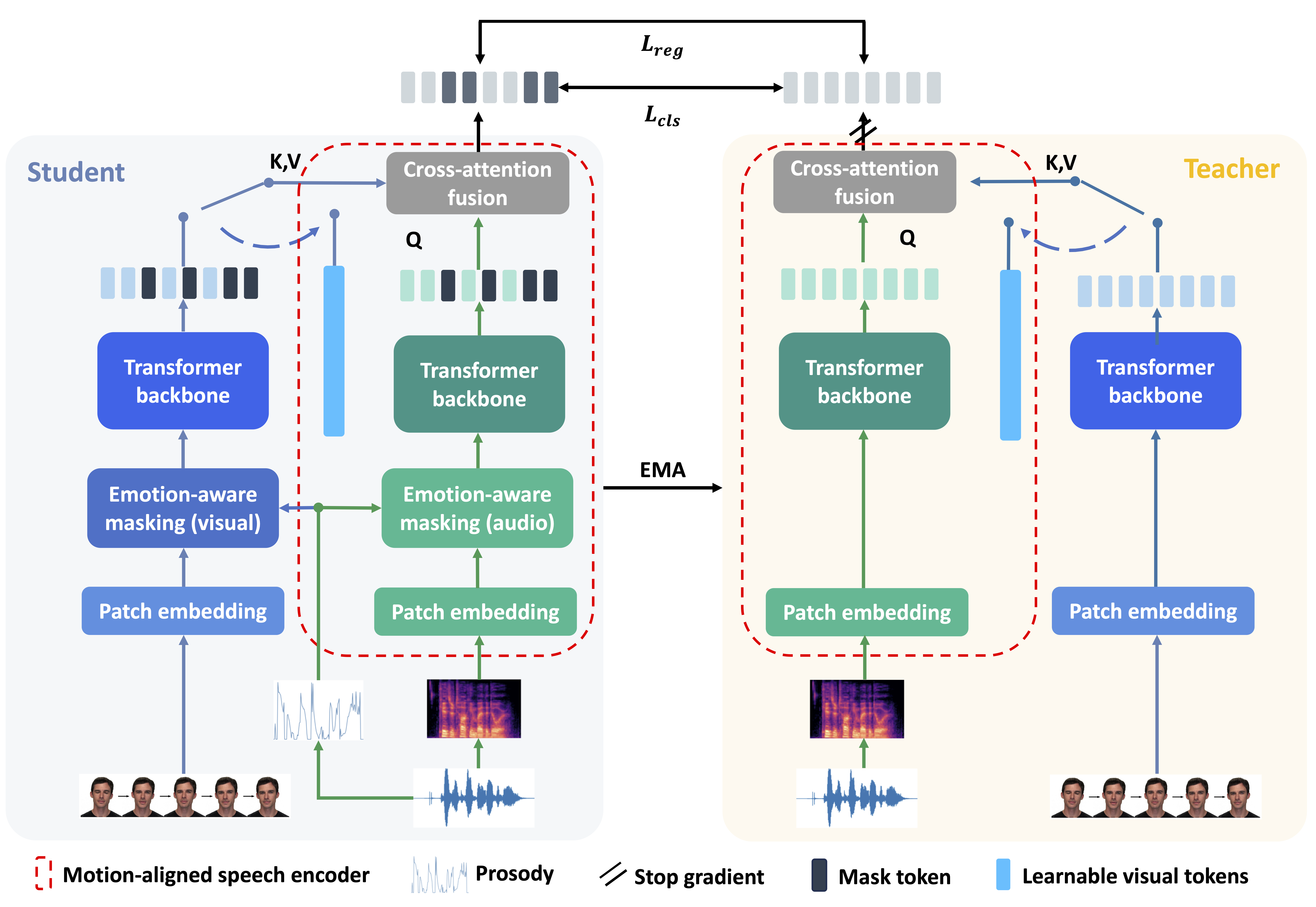 Motion-Aligned Speech Encoder